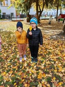 Dwóch chłopców stoi na liściach w parku jesienią