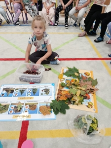 Dziewczynka siedzi na podłodze i sortuje orzechy i liście